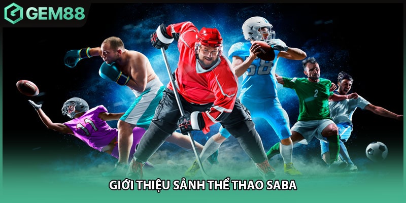 Giới thiệu sảnh thể thao SABA