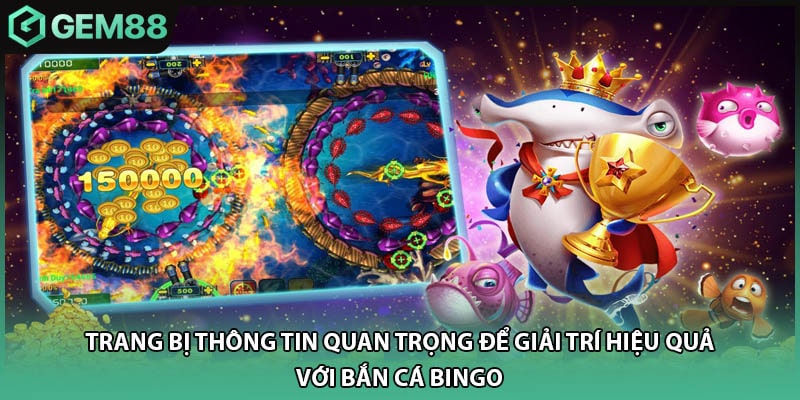 Trang bị thông tin quan trọng để giải trí hiệu quả với bắn cá Bingo