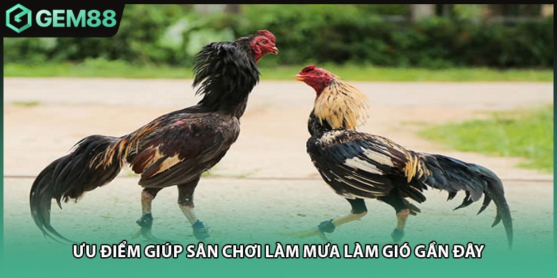 Ưu điểm giúp sân chơi làm mưa làm gió gần đây